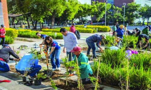 Impulsan jardines polinizadores