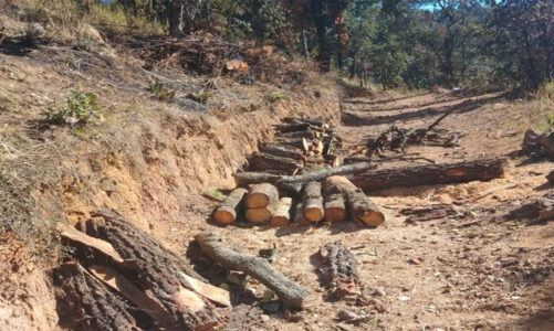Emergencia Ambiental en Lerma