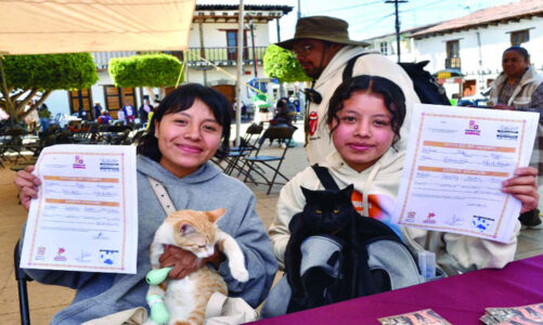 Edoméx crea padrón único para mascotas