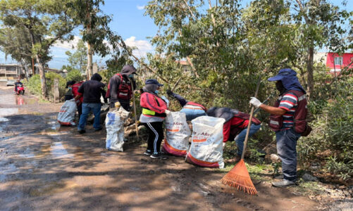 Retiran 29 toneladas de basura de la zona lacustre Tláhuac-Xico en Valle de Chalco