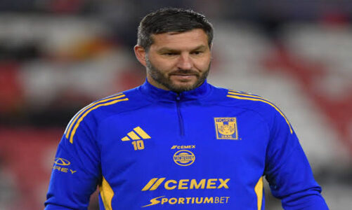 André-Pierre Gignac causa baja de Tigres