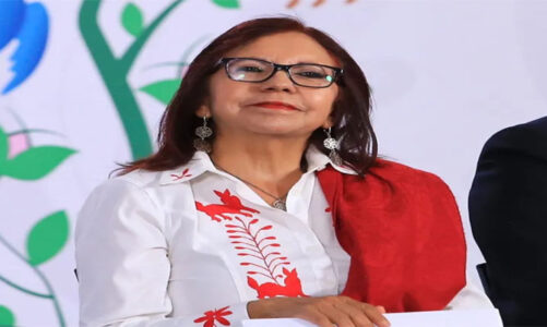 Programas de Bienestar cambian la vida de 18.8 millones de personas: Leticia Ramírez