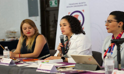 Presenta IEEM documento ¿Cómo hablar de lenguaje no binario en el ámbito político?