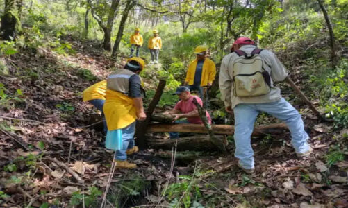 Probosque supera 500 hectáreas de quemas controladas en Temascaltepec