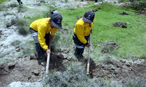 Edoméx inicia Campaña de Restauración Hidrológico-Forestal