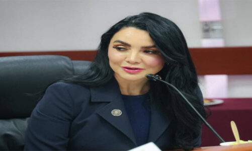 México, entre las economías con mayor inversión extranjera: Gabriela Jiménez
