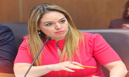 Enfermedades respiratorias, la mitad de los casos atendidos en Edomex: Jennifer González