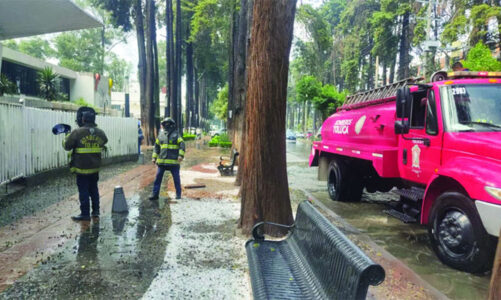 Operativo municipal mantiene bajo control afectaciones por lluvias en Toluca