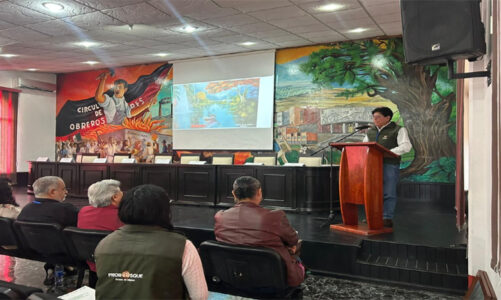 Edoméx presenta estrategia para rescate del Ahuehuete