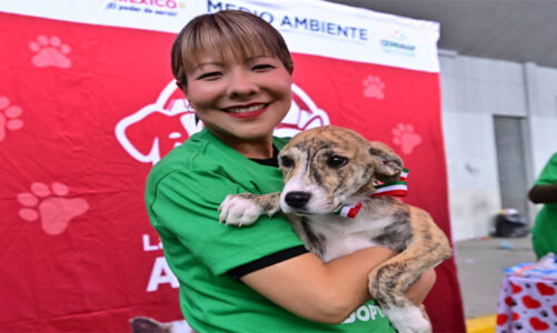 Con nuevas sanciones y educación escolar, avanza la protección animal en Edomex