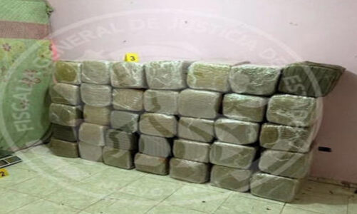 Aseguran casi 370 kilos de marihuana