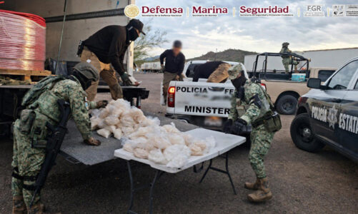 Decomisan 200 kilos de droga en Caborca