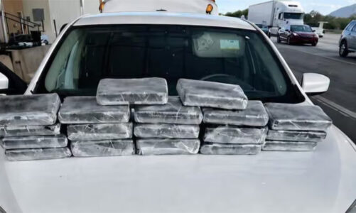 Decomisan cocaína en punto de revisión migratorio de Nogales