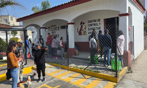 Impulso histórico al bienestar animal en Toluca con Extensión Norte: Ricardo Moreno