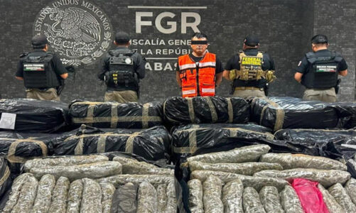 Decomisan más de una tonelada de marihuana en Tabasco