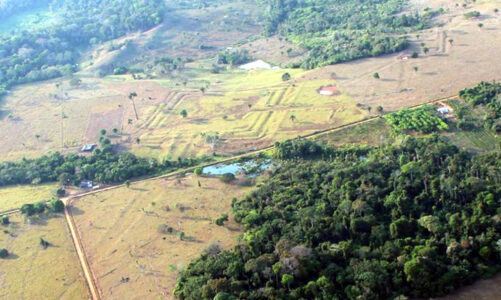 Científicos hallan estructuras bajo la selva amazónica