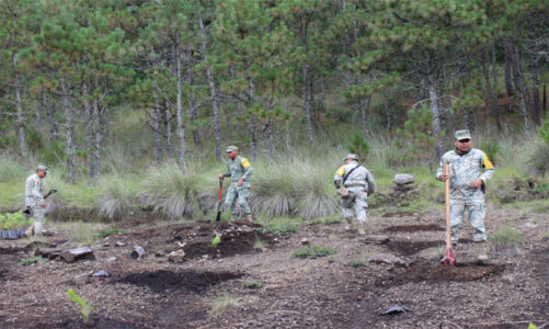 Probosque impulsa  restauración forestal en Edomex