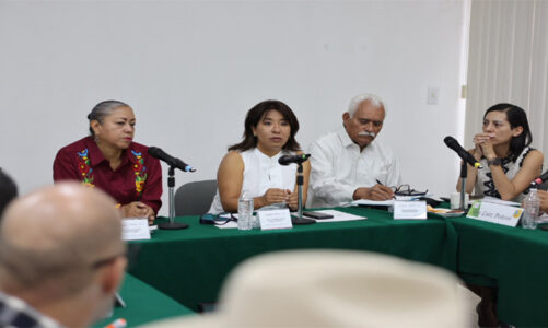 María Eugenia Rojano, primera mujer en presidir el Consejo Directivo de la AMSDA