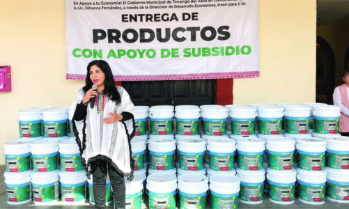 Tenango del Aire apoya la economía familiar con entrega de apoyos subsidiados