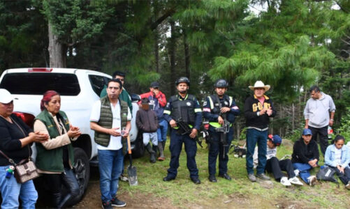Ecatzingo fortalecen zona boscosa con jornada de reforestación en paraje Las Mesas