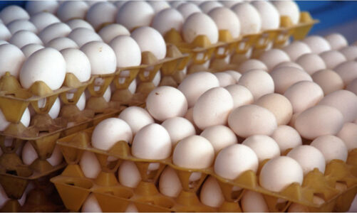 Huevos piratas: el nuevo fraude comercial