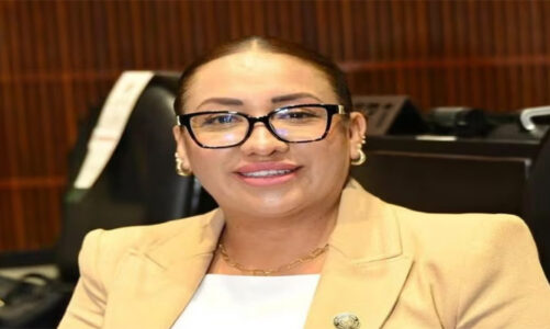 Fallece la diputada federal de Morena por Tultitlán, Anay Beltrán Reyes