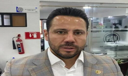 PAN plantea discutir portación de armas para ciudadanos