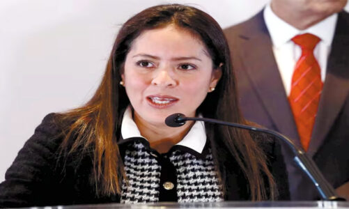 PVEM es uno de los partidos más fuertes del país: Karen Castrejón