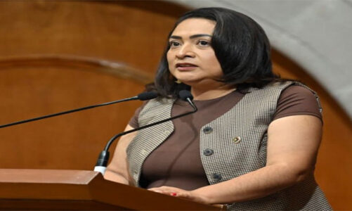 Plantean cambios a reglas de guarda y custodia para proteger a la niñez