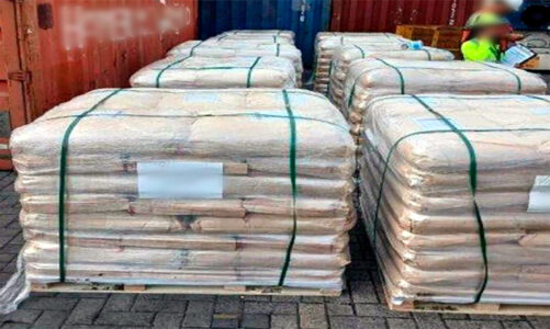 Aseguran más de 54 toneladas de dextrosa anhidra en Manzanillo