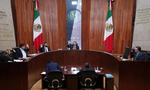 TEPJF ordena al INE garantizar freno a servidores de la nación en observación electoral