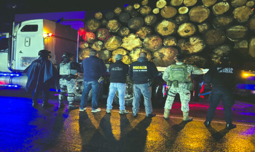 Profepa y Conanp realizan tercer multioperativo nacional en Áreas Naturales Protegidas