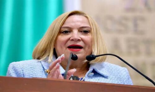 No estamos para aplaudir por obligación: Olivia Garza