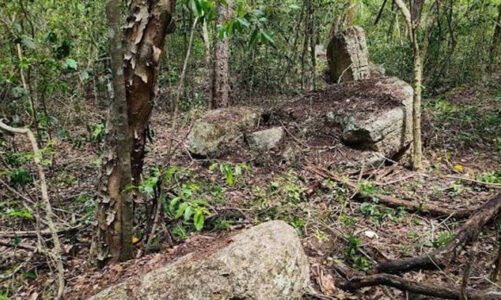 Minanbé, maravilla maya preservada en la selva