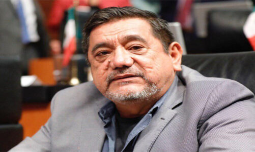 Félix Salgado exige cárcel para Guadalupe Taddei
