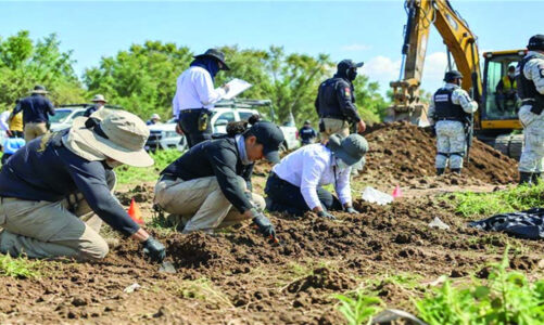 Comisión Nacional de Búsqueda realiza trabajos de búsqueda forense en Edoméx