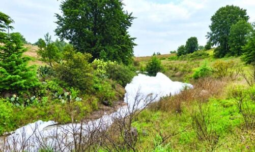 Alertan por posible contingencia químico-sanitaria en El Oro