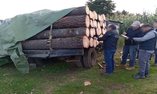 Clausura Profepa aserradero ilegal en Xalatlaco, Estado de México
