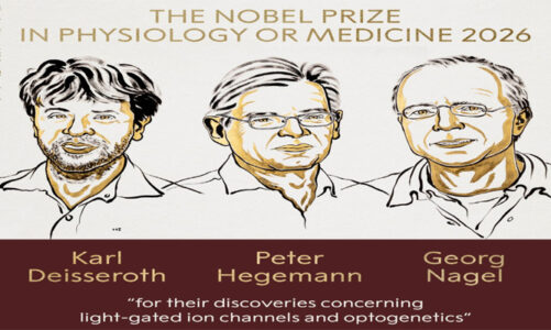 Nobel de Medicina 2026 otorgado a científicos que investigan la actividad cerebral