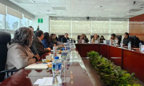 IEEM avanza en selección de vocalías distritales y municipales